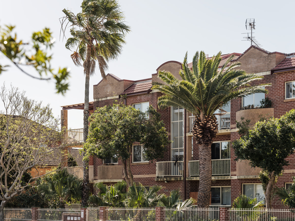 Three-storey brick apartment building at 246–250 Maroubra Road, framed by established palms